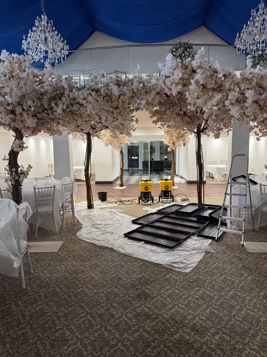 Artificial cherry blossom trees prepared for on-site treatment