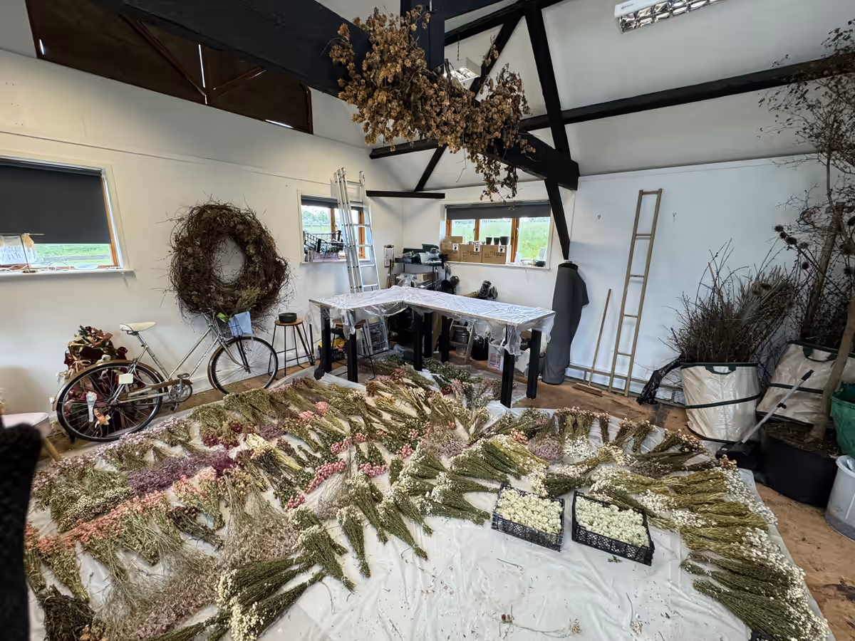 Batches of dried flowers laid out after in-house treatment
