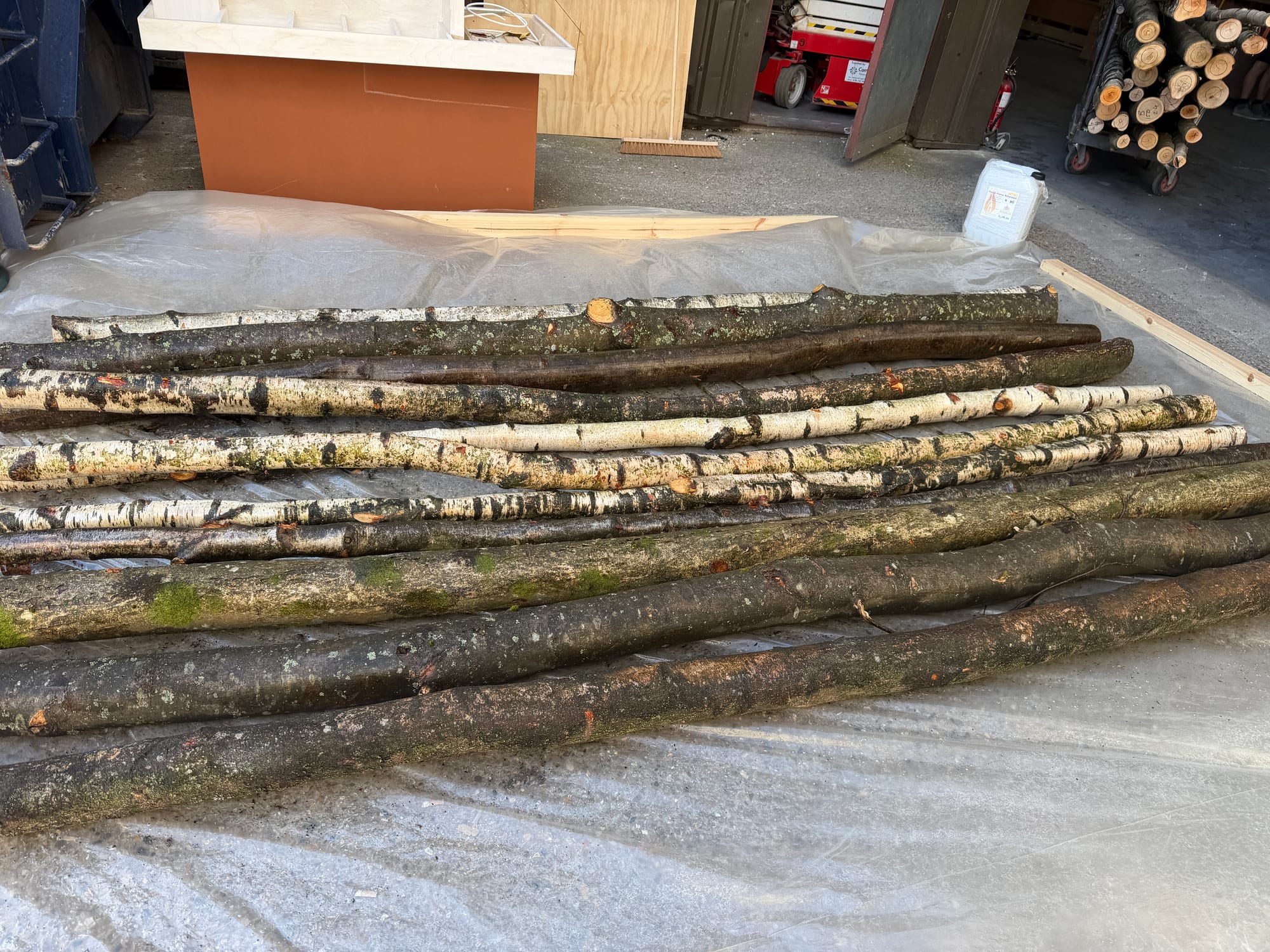 Natural timber branches laid out in a workshop for specialist treatment