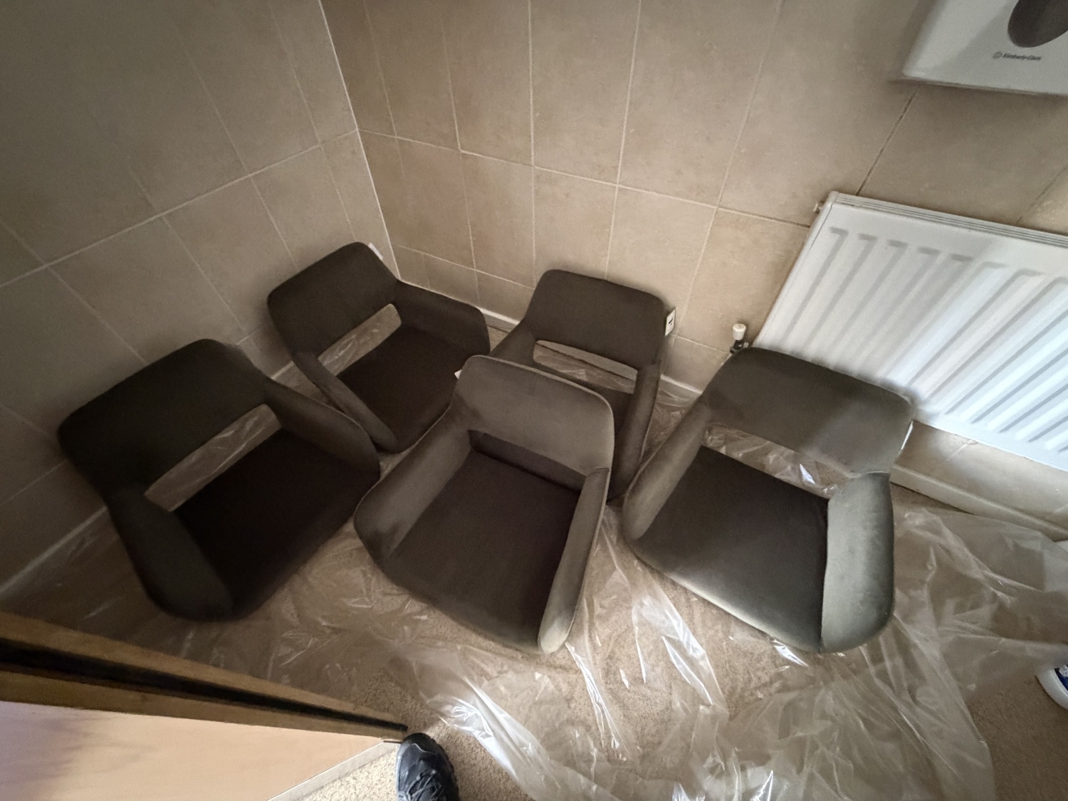 Five upholstered chairs drying indoors after treatment
